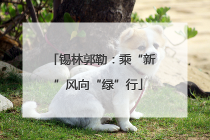 锡林郭勒：乘“新”风向“绿”行