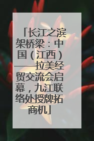 长江之滨架桥梁：中国（江西）——拉美经贸交流会启幕，九江联络处授牌拓商机