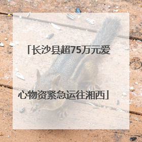长沙县超75万元爱心物资紧急运往湘西