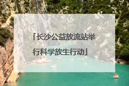 长沙公益放流站举行科学放生行动