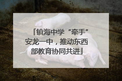 镇海中学“牵手”安龙一中，推动东西部教育协同共进