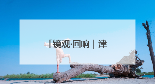 镜观·回响｜津门文化万象新