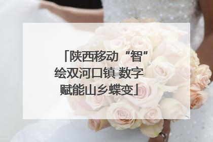 陕西移动“智”绘双河口镇 数字赋能山乡蝶变