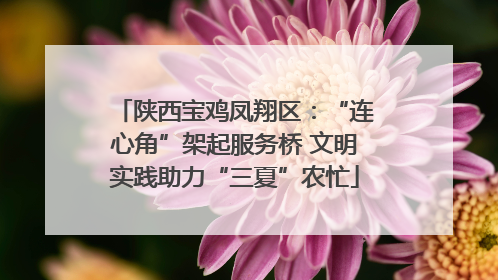 陕西宝鸡凤翔区：“连心角”架起服务桥 文明实践助力“三夏”农忙