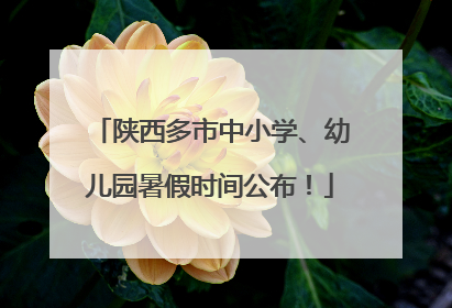 陕西多市中小学、幼儿园暑假时间公布！
