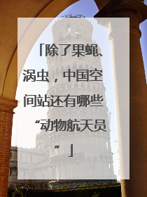除了果蝇、涡虫，中国空间站还有哪些“动物航天员”