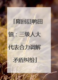 隆回县鸭田镇：三级人大代表合力调解矛盾纠纷