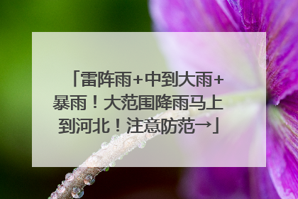 雷阵雨+中到大雨+暴雨！大范围降雨马上到河北！注意防范→
