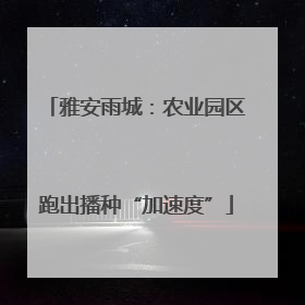 雅安雨城：农业园区跑出播种“加速度”