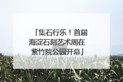 集石行乐！首届海淀石刻艺术周在紫竹院公园开幕