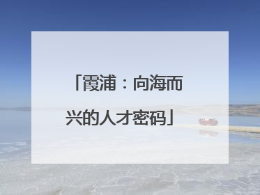 霞浦：向海而兴的人才密码