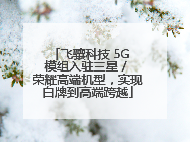 飞骧科技 5G 模组入驻三星 / 荣耀高端机型，实现白牌到高端跨越