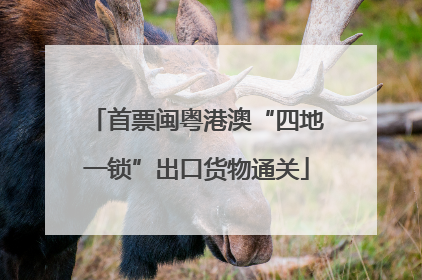 首票闽粤港澳“四地一锁”出口货物通关