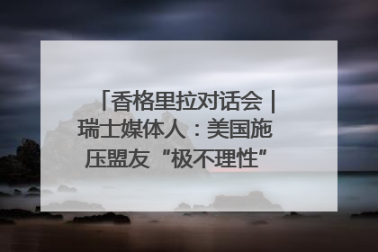 香格里拉对话会｜瑞士媒体人：美国施压盟友“极不理性” 欧洲国家无意与中国“脱钩断链”