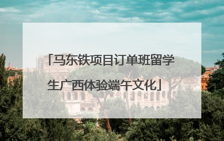 马东铁项目订单班留学生广西体验端午文化