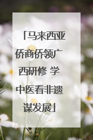 马来西亚侨商侨领广西研修 学中医看非遗谋发展