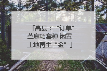 高县：“订单”苎麻巧套种 闲置土地再生“金”