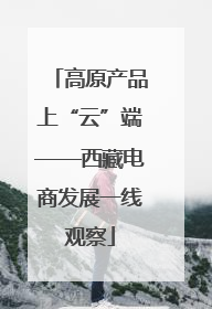 高原产品上“云”端——西藏电商发展一线观察