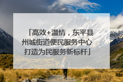 高效+温情，东平县州城街道便民服务中心打造为民服务新标杆