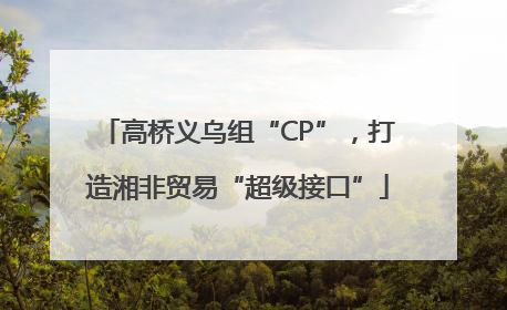 高桥义乌组“CP”，打造湘非贸易“超级接口”