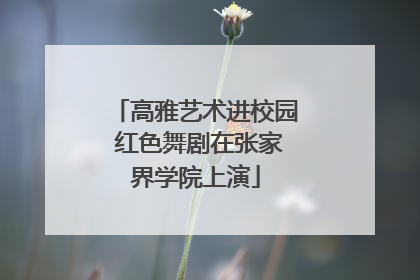 高雅艺术进校园 红色舞剧在张家界学院上演