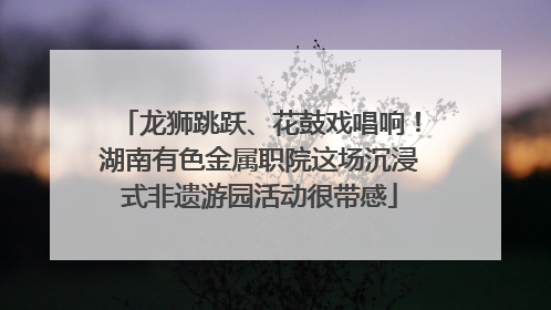 龙狮跳跃、花鼓戏唱响！湖南有色金属职院这场沉浸式非遗游园活动很带感