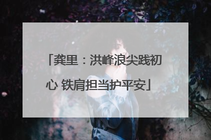龚里：洪峰浪尖践初心 铁肩担当护平安