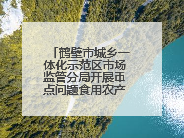 鹤壁市城乡一体化示范区市场监管分局开展重点问题食用农产品专项整治