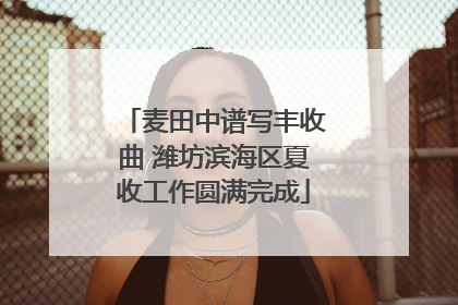 麦田中谱写丰收曲 潍坊滨海区夏收工作圆满完成