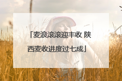 麦浪滚滚迎丰收 陕西麦收进度过七成