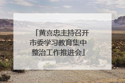 黄喜忠主持召开市委学习教育集中整治工作推进会