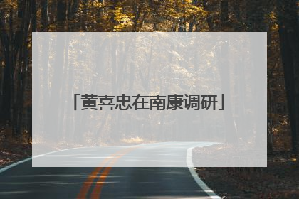 黄喜忠在南康调研