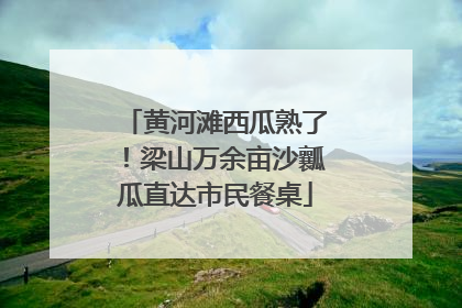 黄河滩西瓜熟了！梁山万余亩沙瓤瓜直达市民餐桌