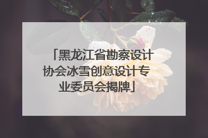 黑龙江省勘察设计协会冰雪创意设计专业委员会揭牌