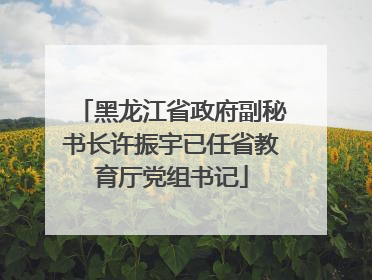 黑龙江省政府副秘书长许振宇已任省教育厅党组书记