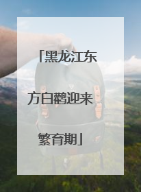 黑龙江东方白鹳迎来繁育期