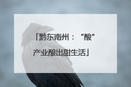 黔东南州：“酸”产业酿出甜生活