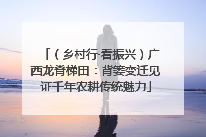 （乡村行·看振兴）广西龙脊梯田：背篓变迁见证千年农耕传统魅力