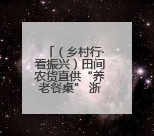 （乡村行·看振兴）田间农货直供“养老餐桌” 浙江缙云银发经济盘活山区资源