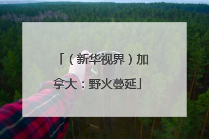 （新华视界）加拿大：野火蔓延