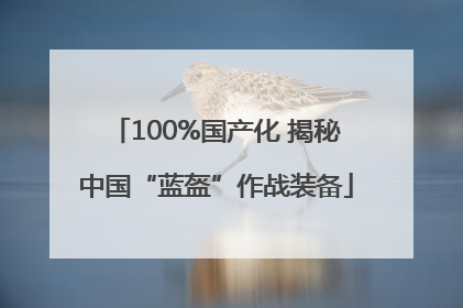 100%国产化 揭秘中国“蓝盔”作战装备