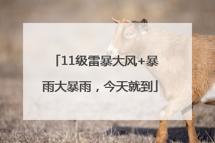 11级雷暴大风+暴雨大暴雨，今天就到