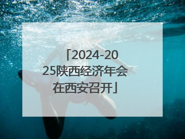 2024-2025陕西经济年会在西安召开