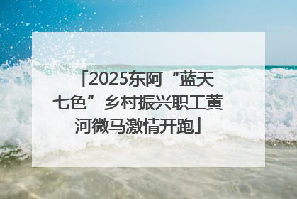 2025东阿“蓝天七色”乡村振兴职工黄河微马激情开跑