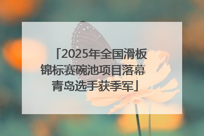 2025年全国滑板锦标赛碗池项目落幕 青岛选手获季军