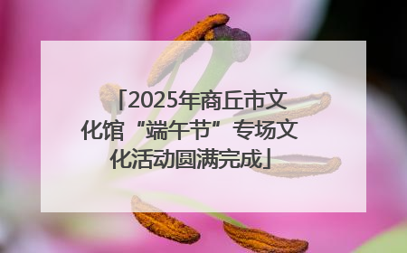 2025年商丘市文化馆“端午节”专场文化活动圆满完成