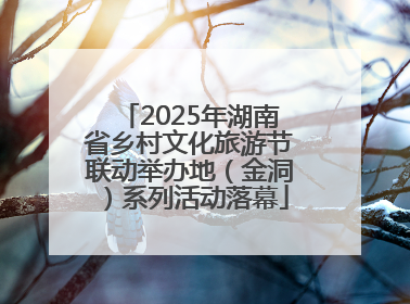 2025年湖南省乡村文化旅游节联动举办地（金洞）系列活动落幕
