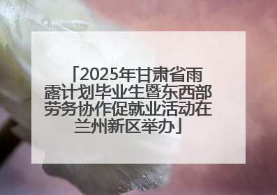 2025年甘肃省雨露计划毕业生暨东西部劳务协作促就业活动在兰州新区举办