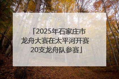 2025年石家庄市龙舟大赛在太平河开赛 20支龙舟队参赛