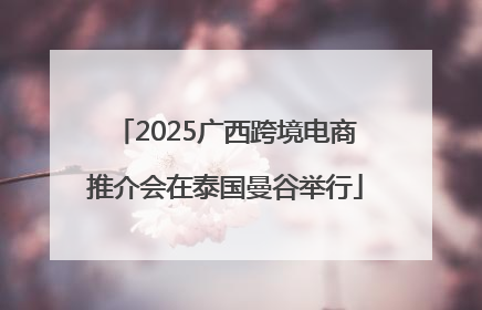 2025广西跨境电商推介会在泰国曼谷举行